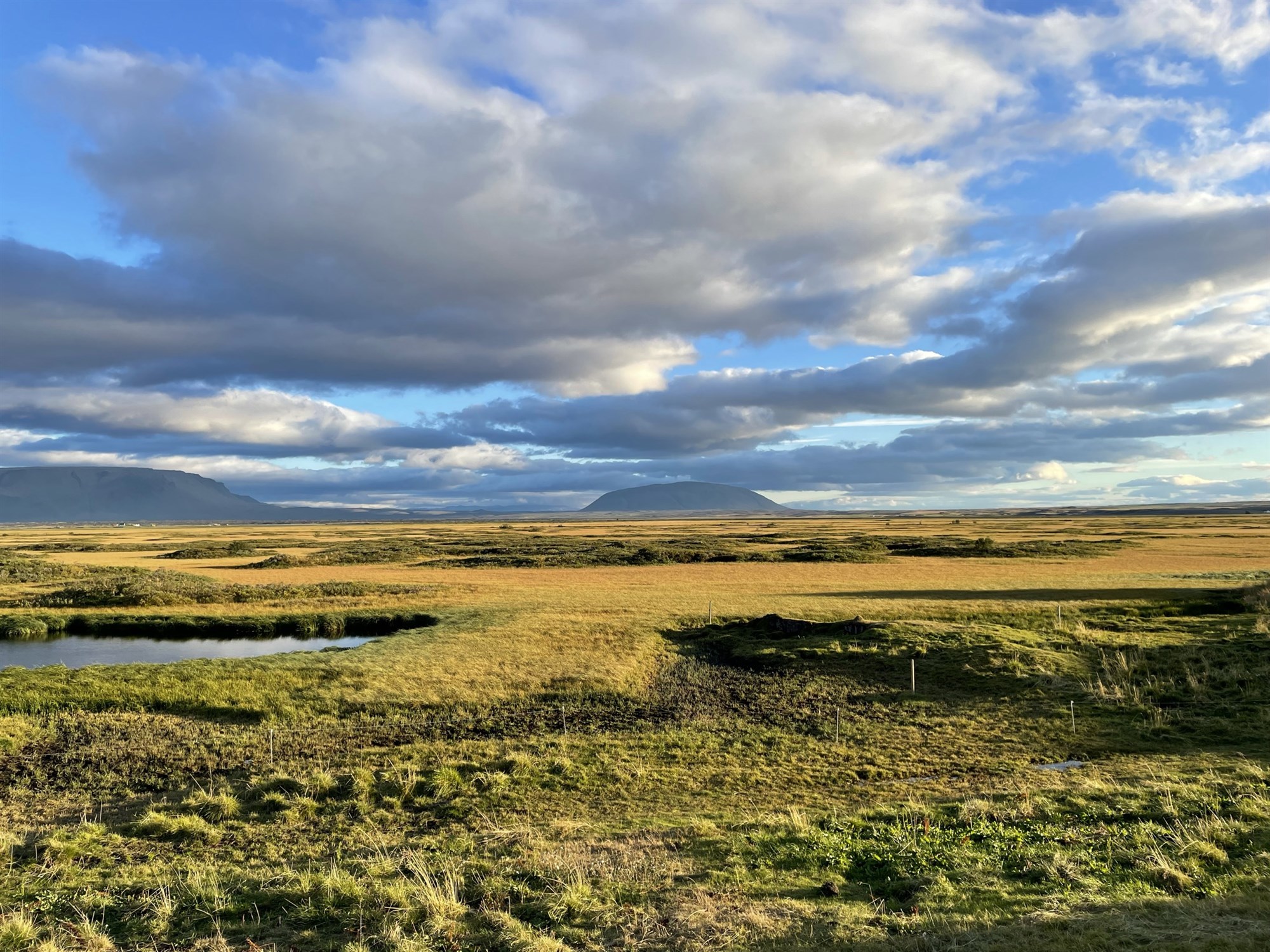 Endurmat á losun frá ræktarlöndum