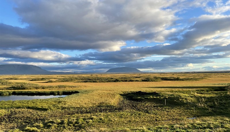 Endurmat á losun frá ræktarlöndum
