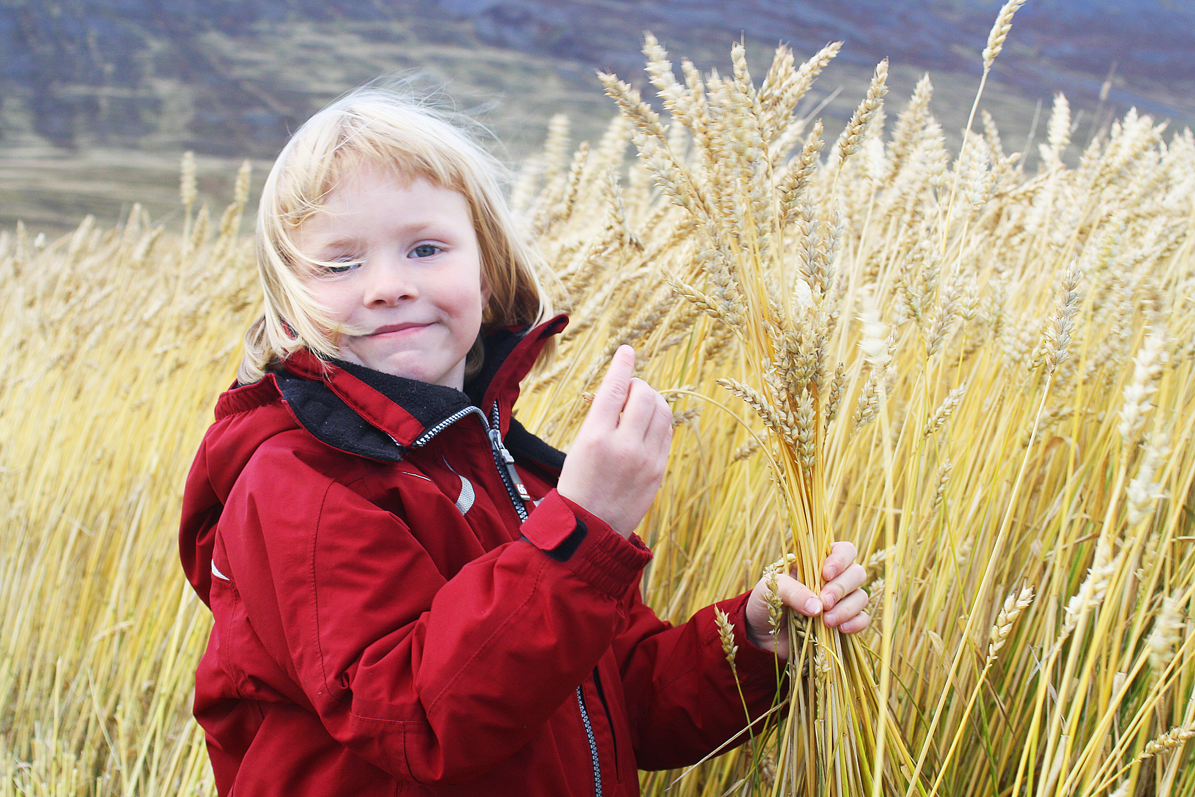 Framleiðnisjóður landbúnaðarins mun brátt heyra sögunni til