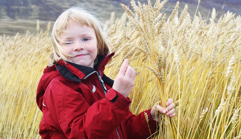 Framleiðnisjóður landbúnaðarins mun brátt heyra sögunni til