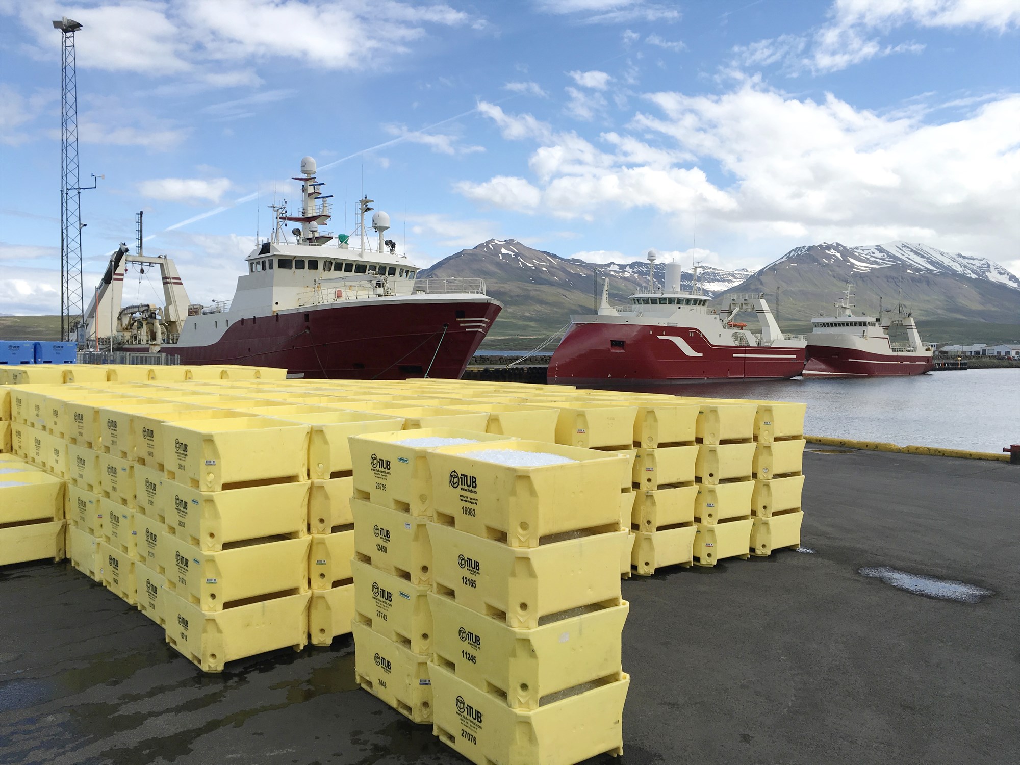 Umhverfisskýrslur auka fjárhagslegan ávinning