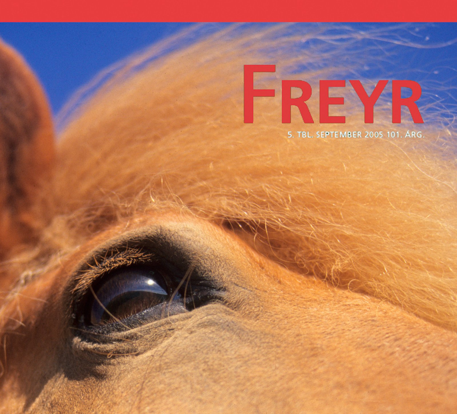 Þess skal getið sem vel er gert