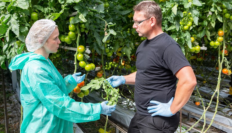 Slæm staða evrópskra garðyrkjubænda