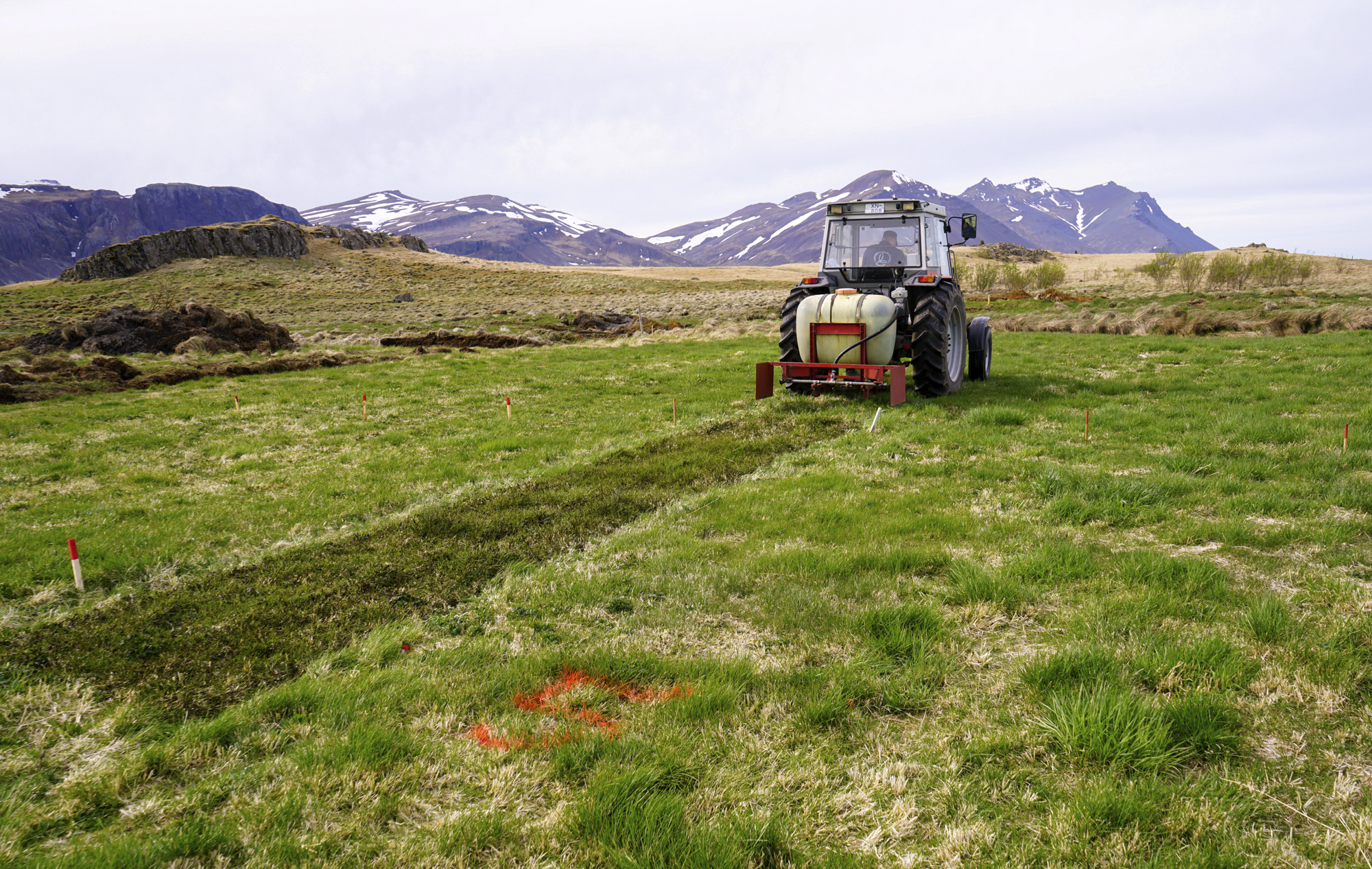 Unnt að draga úr lykt af kúamykjuáburði