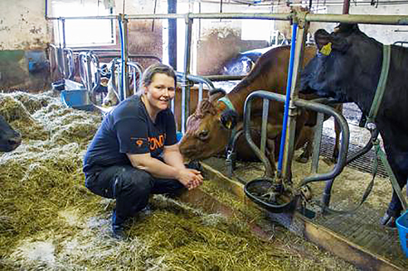 Norskir bændur í fóðurkreppu