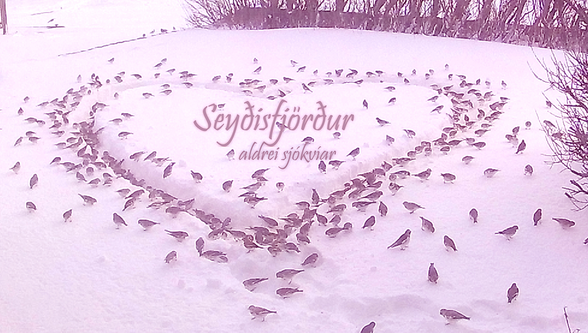 Margur verður af aurum api