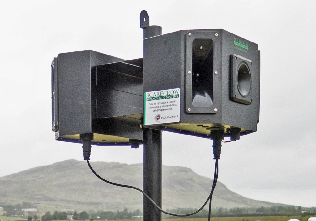 Hljóðkerfi með fuglavarnarhljóðum hafa gefist vel