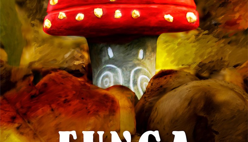 Í ríki sveppakóngsins