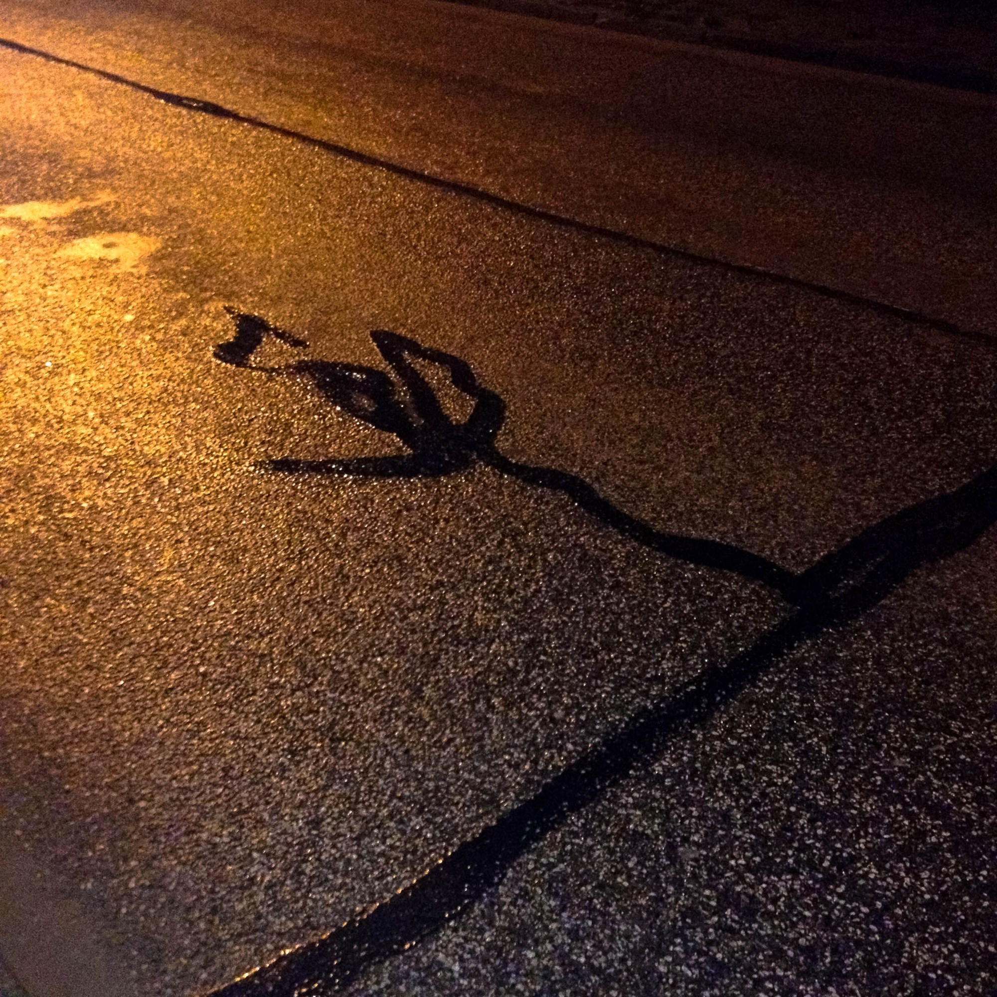 Lausn á vísnagátunni