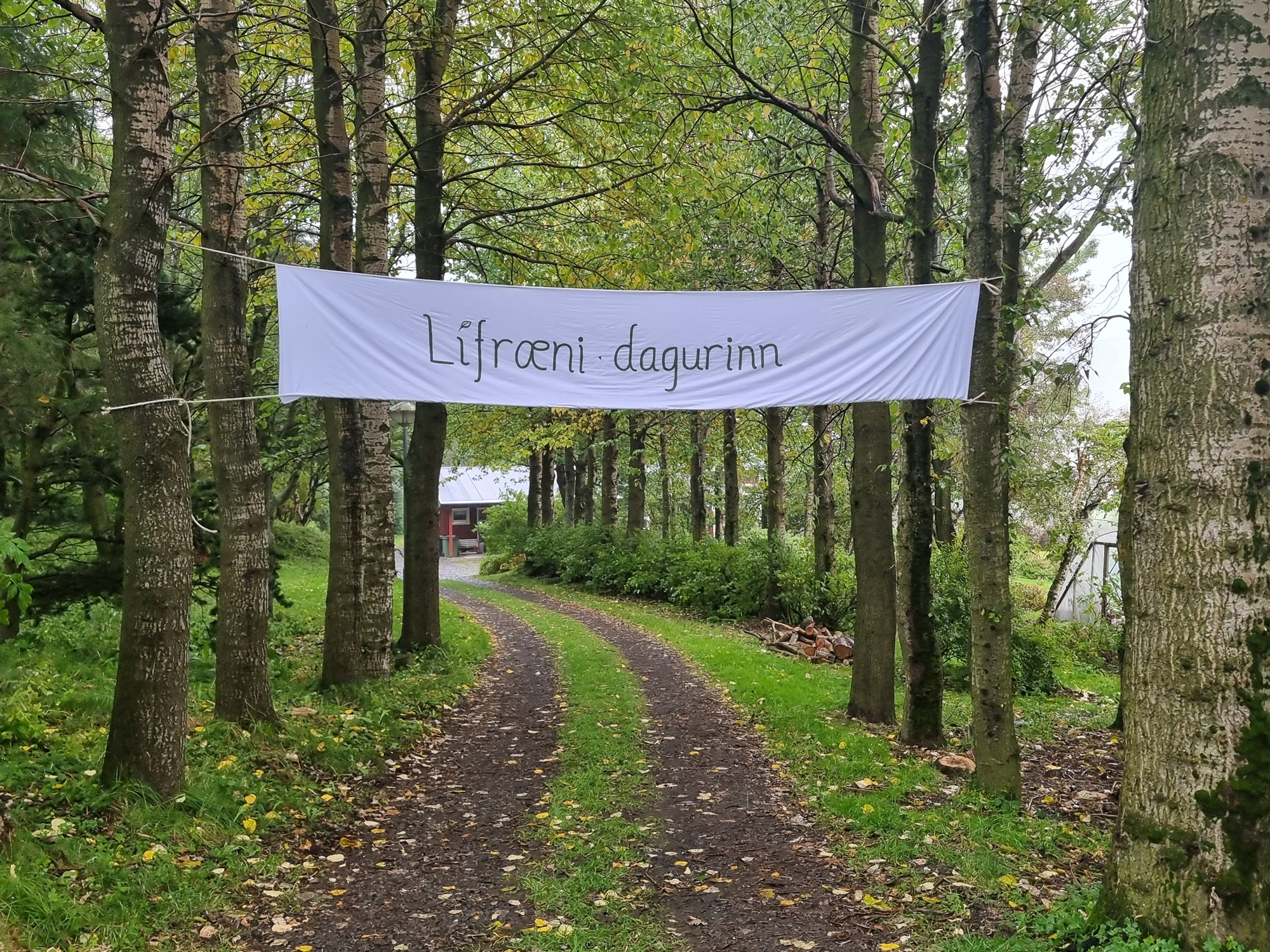 Íslensk matarveisla úr lífrænum hráefnum