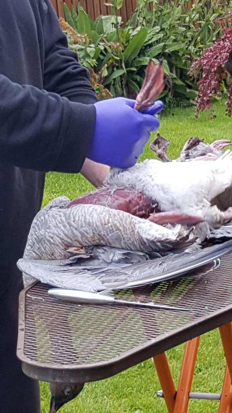 Afurðasala óheimil