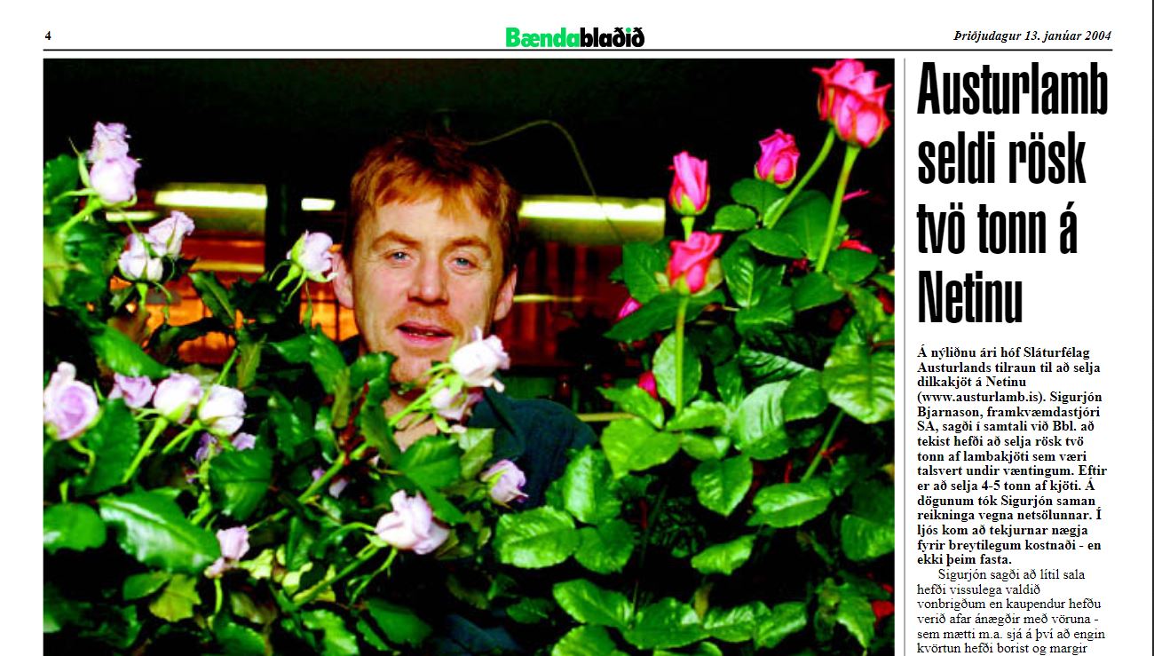Austurlamb seldi rösk tvö tonn í vefsölu