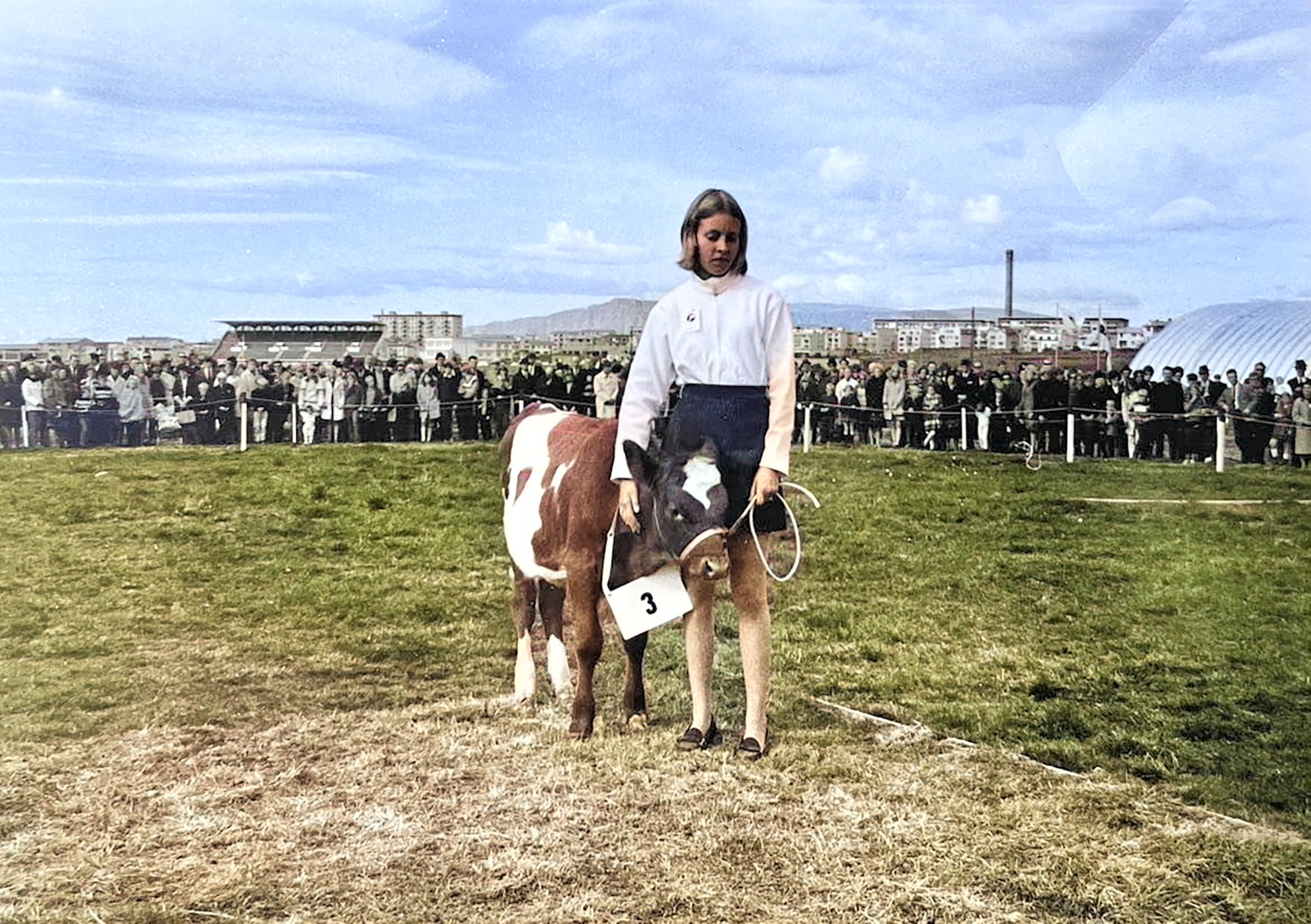 Unglingar keppa um verðlaunasæti í uppeldi kálfa