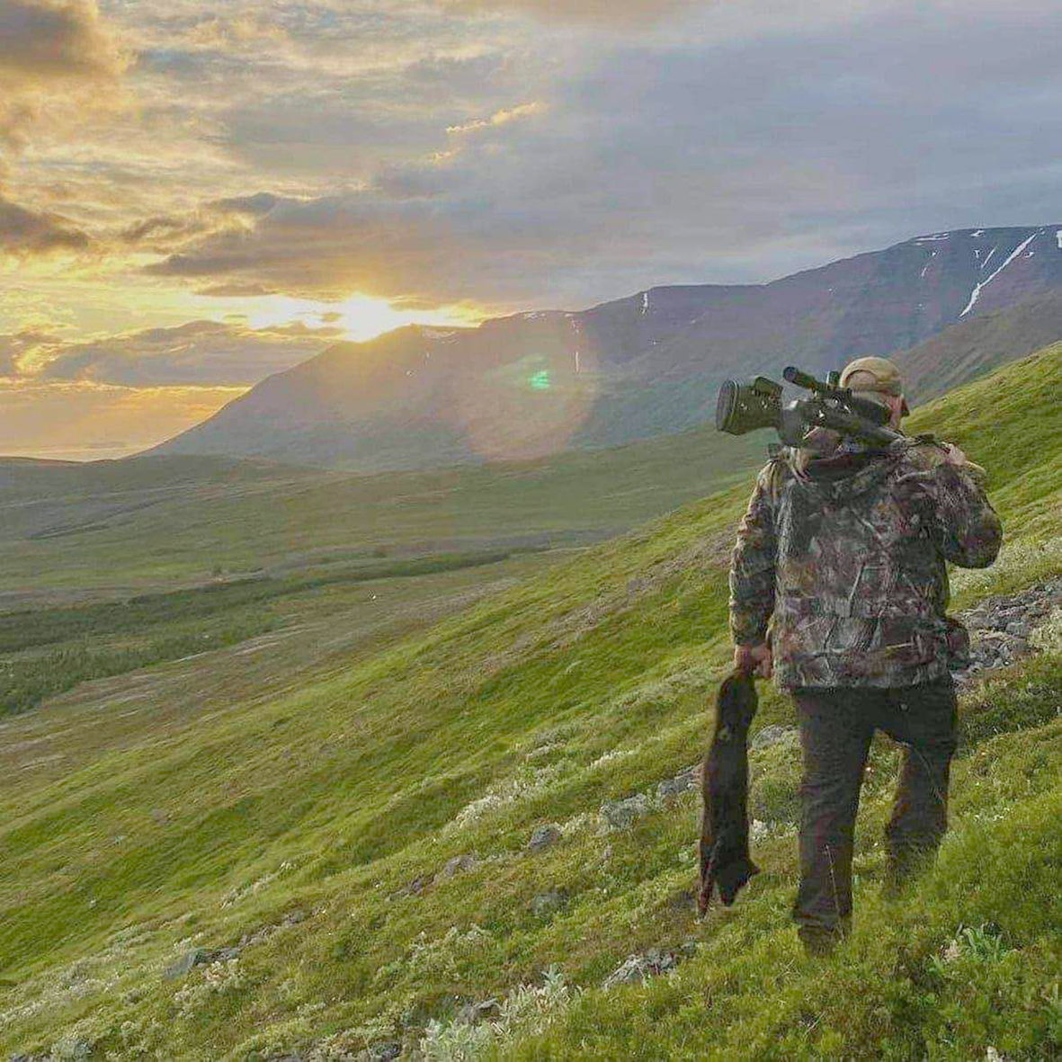 Þarf að minnka það tjón sem refir og minkar valda