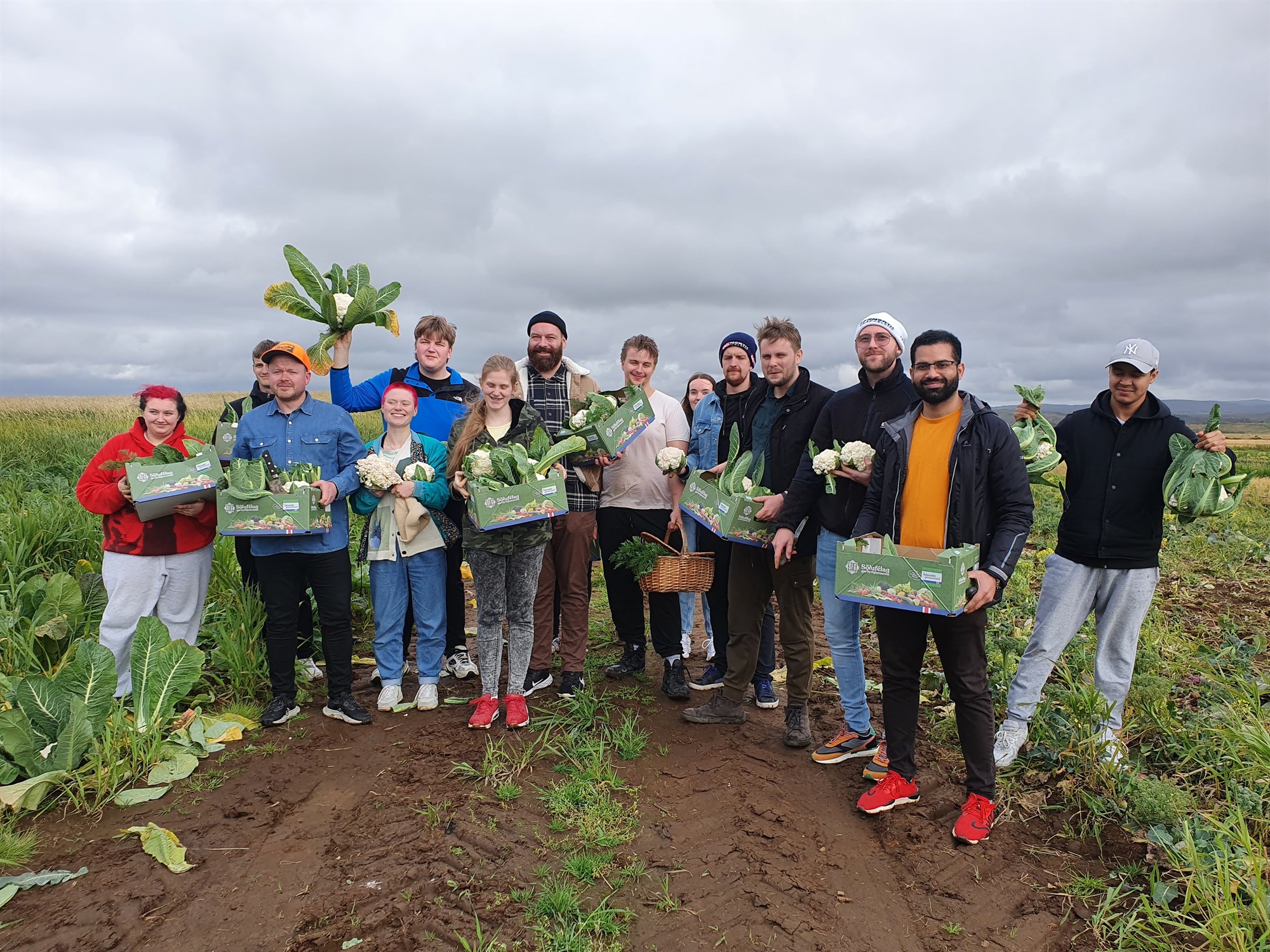 Upplifðu ferskleika íslenska grænmetisins frá fyrstu hendi