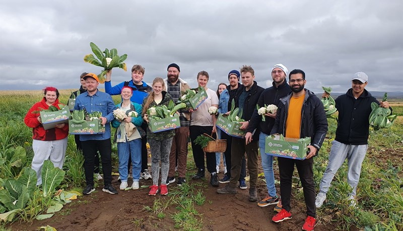 Upplifðu ferskleika íslenska grænmetisins frá fyrstu hendi