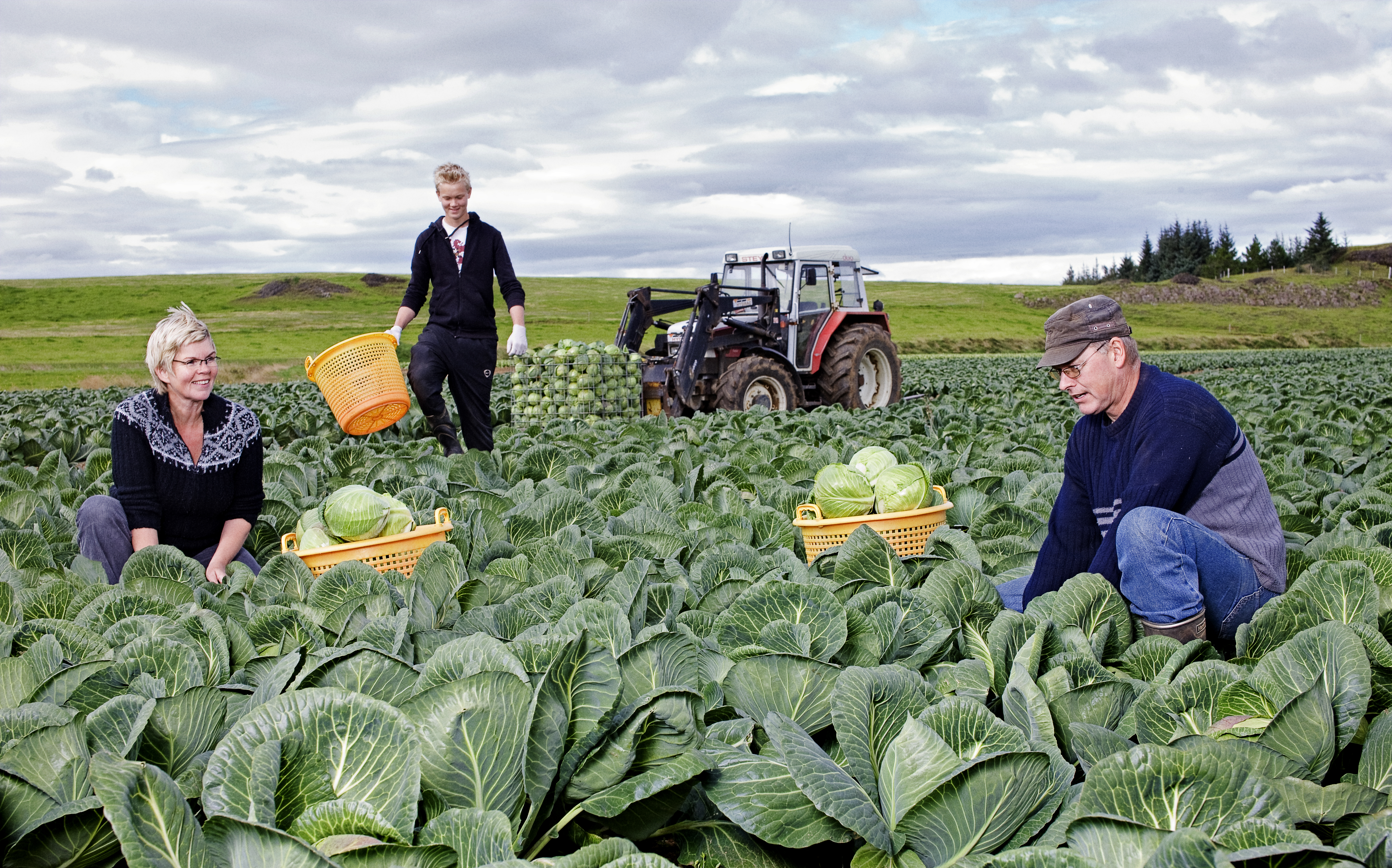 „ÞÚ VEIST hvaðan það kemur“