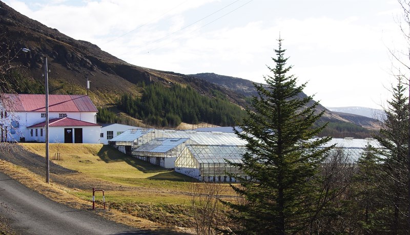 Hjörtun sem slá í Garðyrkjuskólanum
