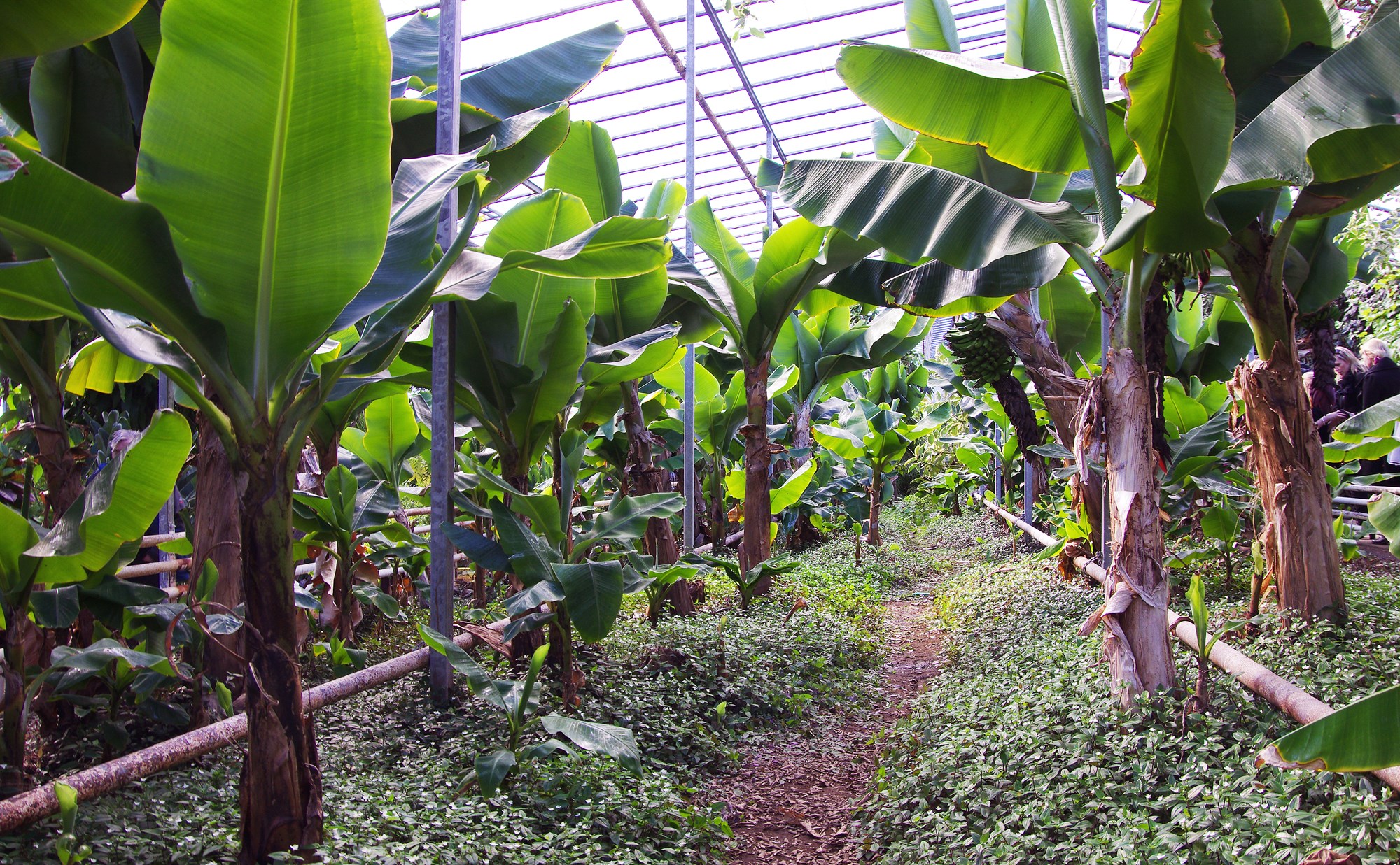 Verkmenntun í garðyrkju á tímamótum