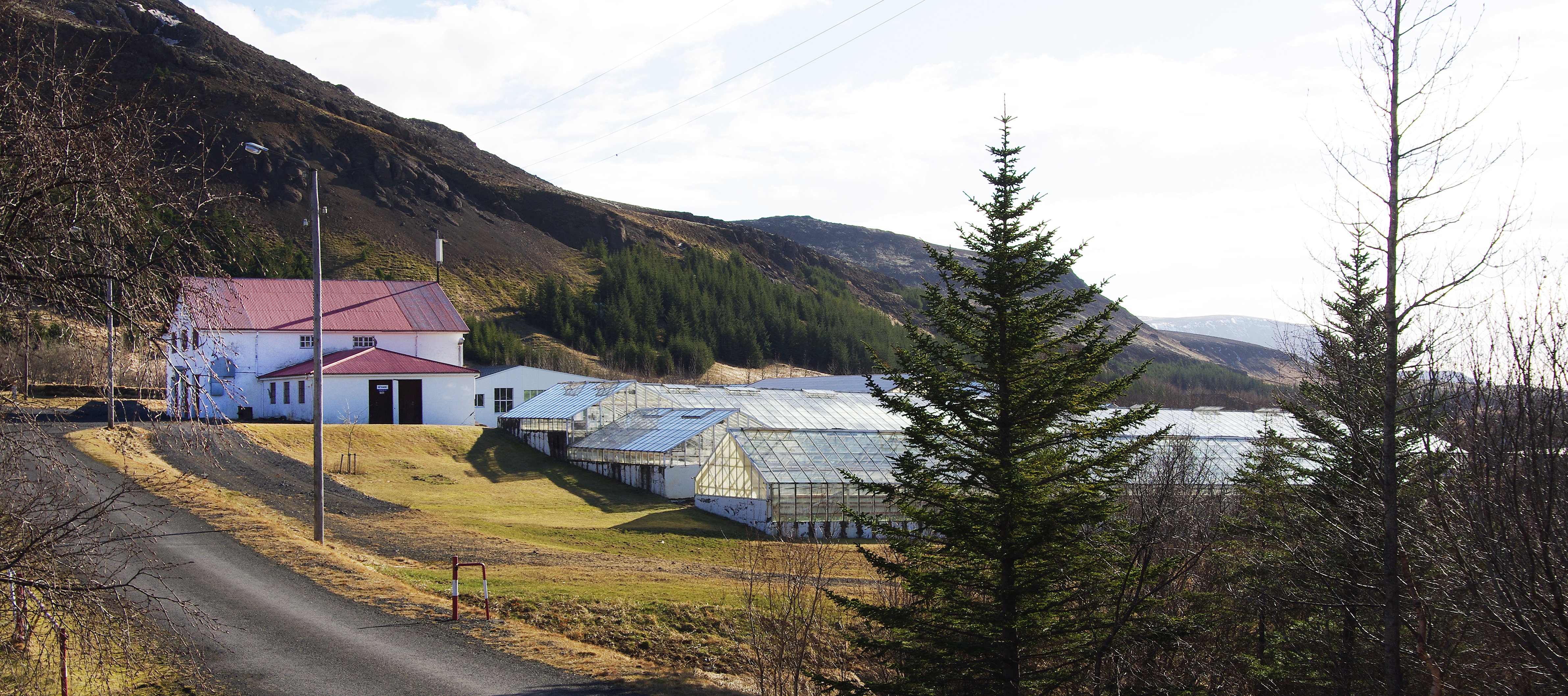 Starfandi fagfólk í garðyrkju stofnar Garðyrkjuskóla Íslands