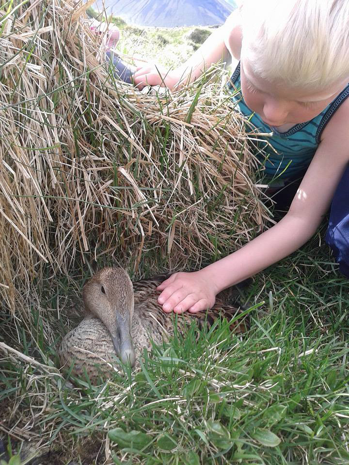 Eitt versta vor um langt skei&#240;
