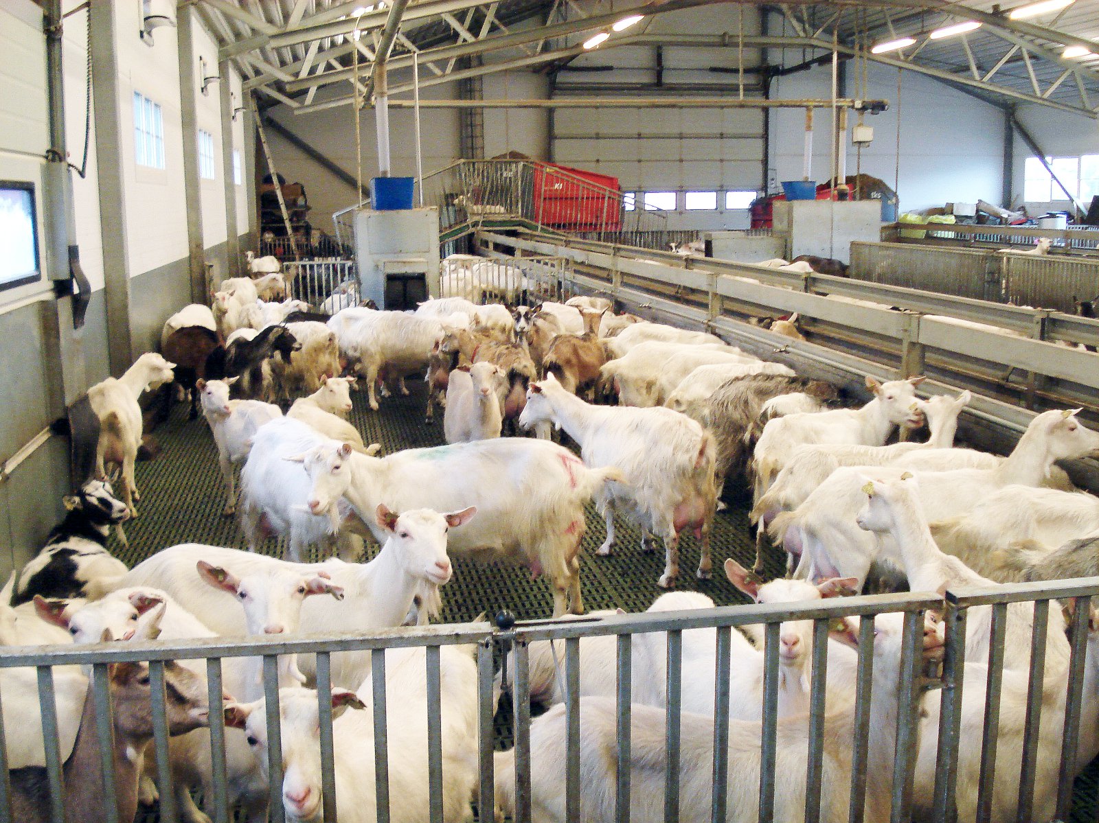 Kjarnfóður lækkar í verði