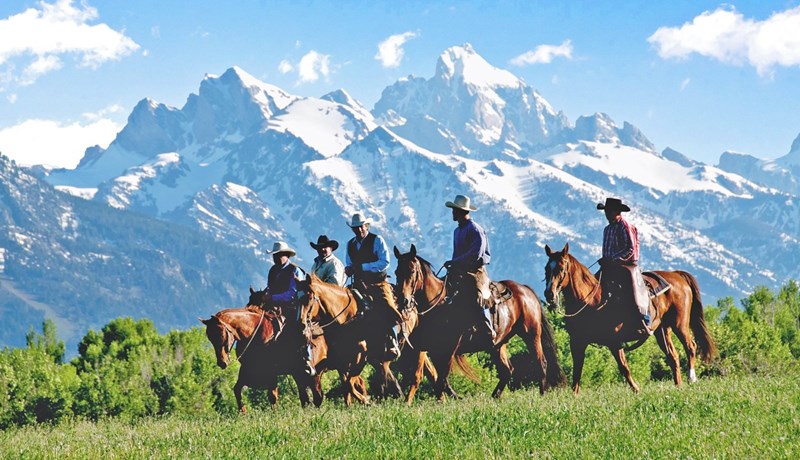 Bændum fækkar, nýliðun er lítil og ríflega hálfur hektari ræktarlands glatast á hverri mínútu
