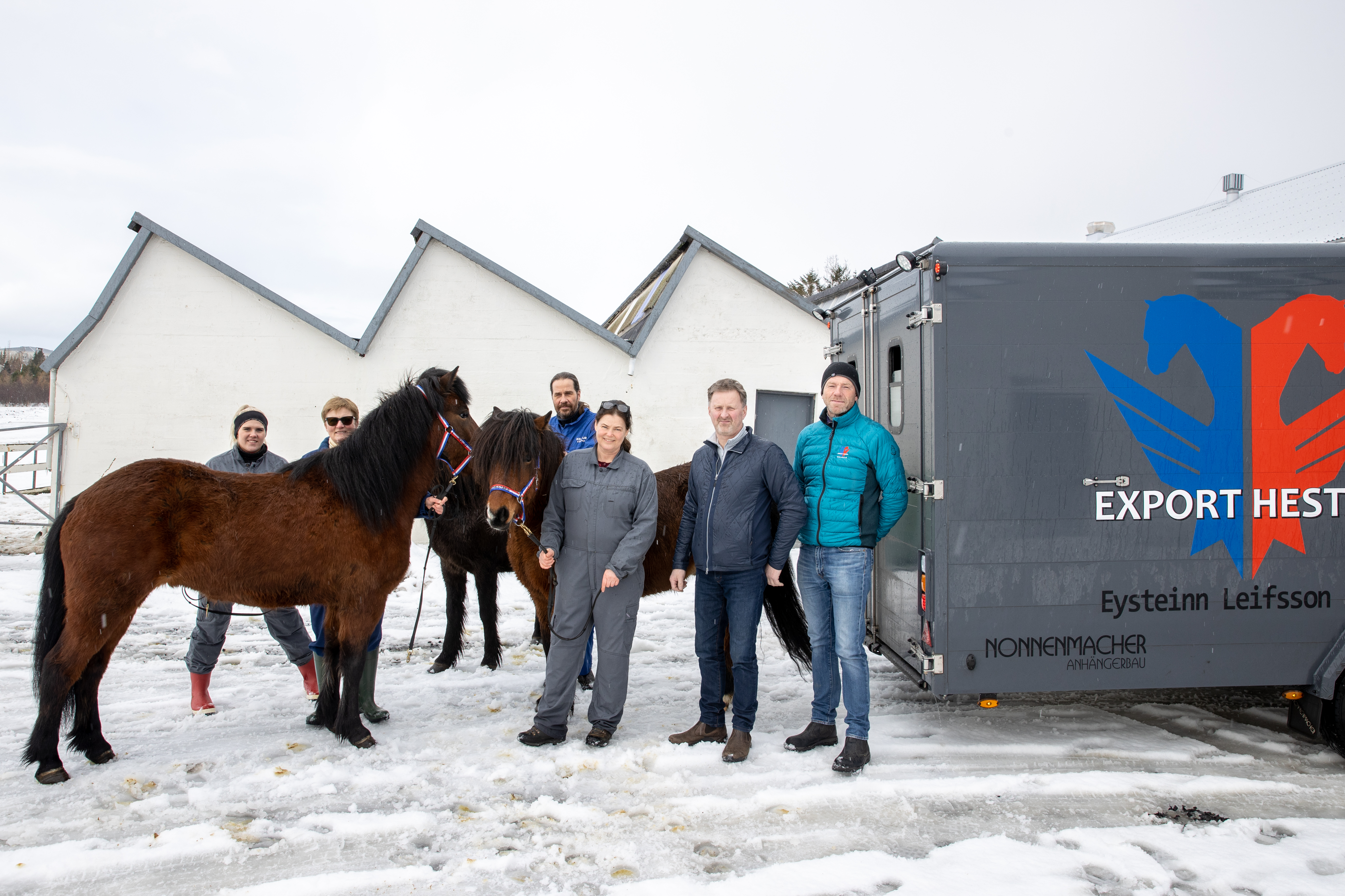 Tuttugu og sjö hross sem bólusett hafa verið gegn sumarexemi flutt úr landi