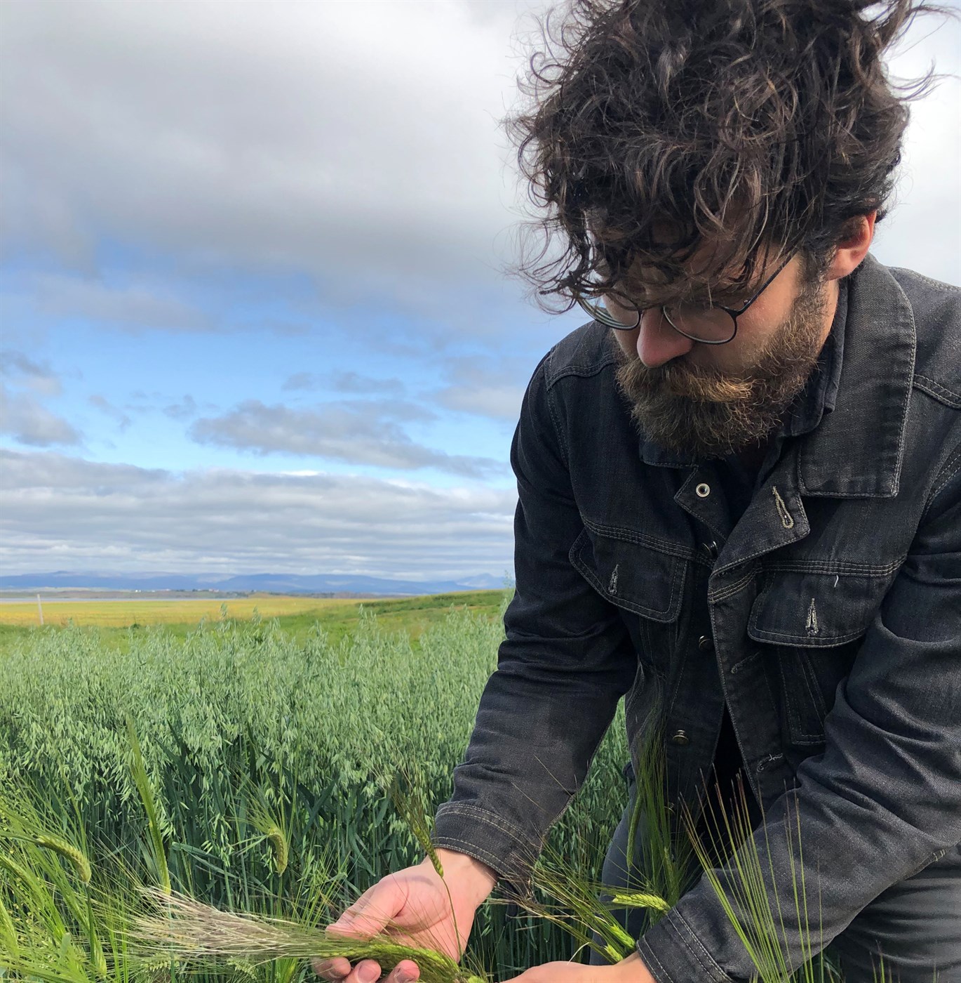 Getum og ættum að rækta meira korn