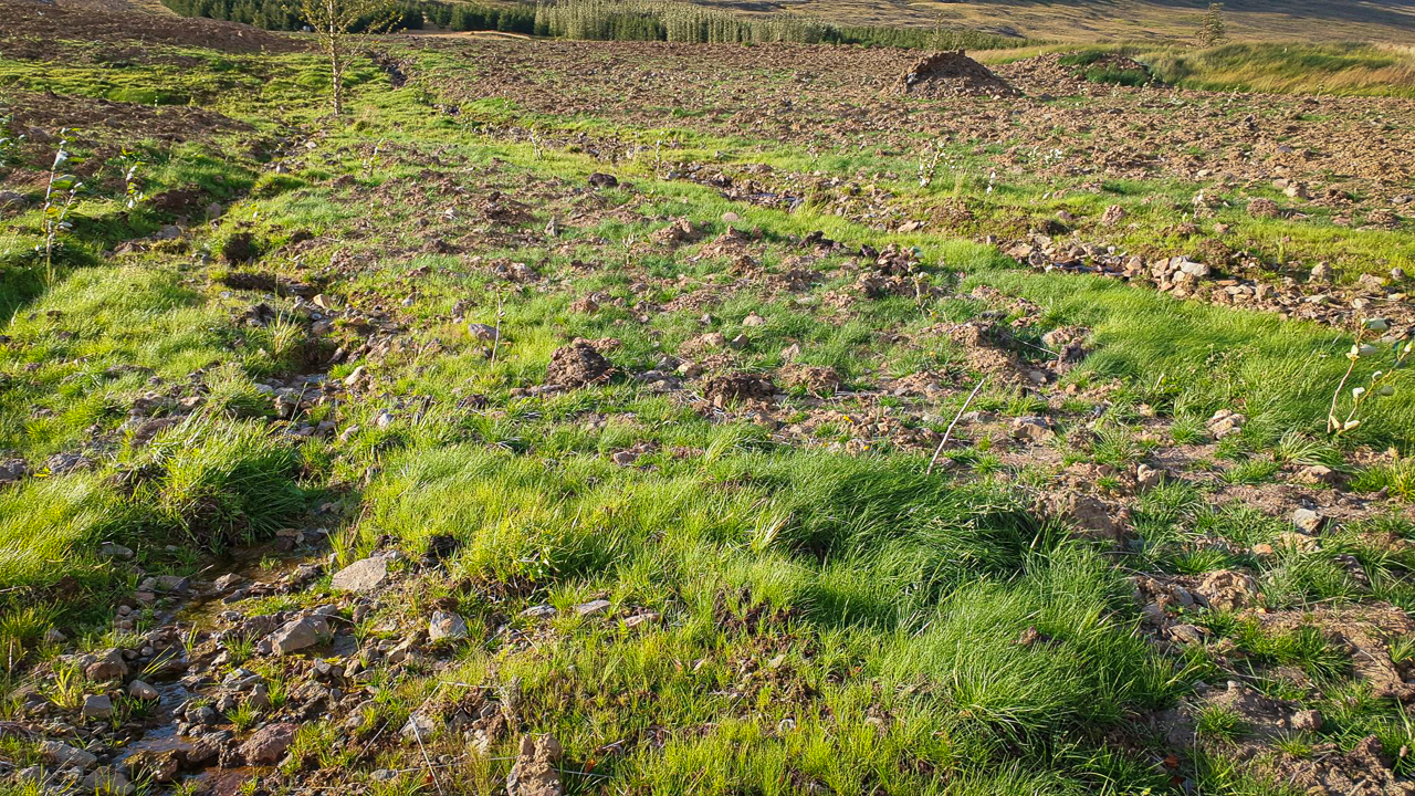 Notkun lífræns áburðar og beitarfriðun aukist