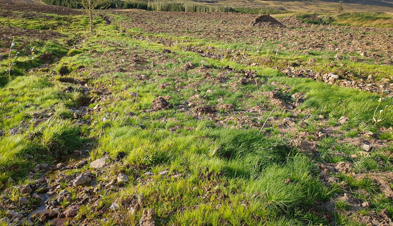 Notkun lífræns áburðar og beitarfriðun aukist