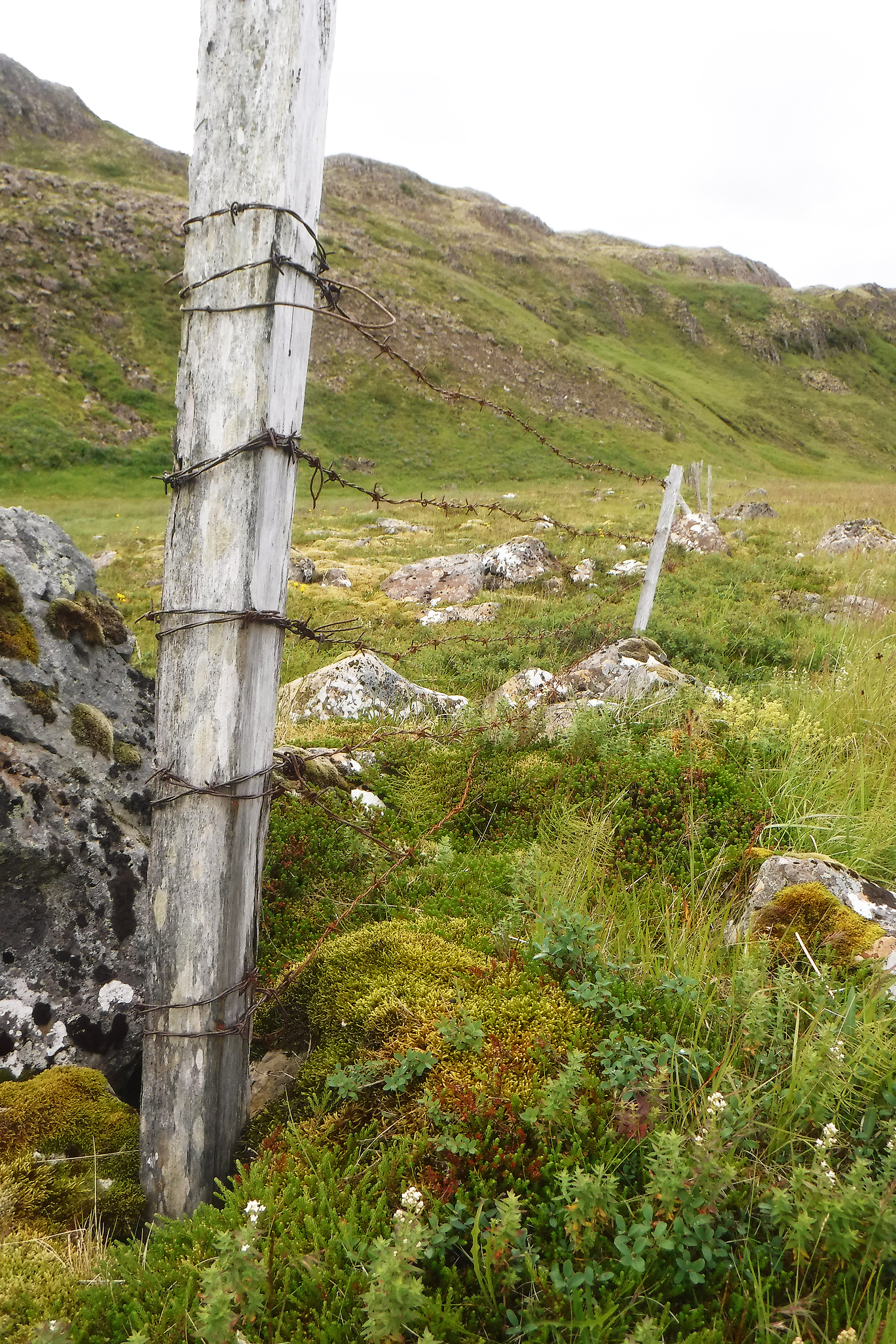 Að heyskap loknum tekur næsta verkefni við