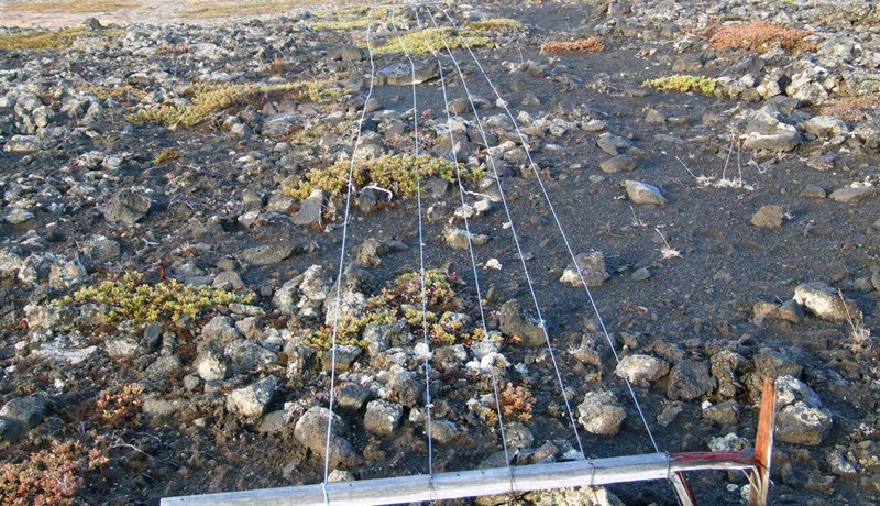 Liður í heildstæðri endurskoðun löggjafar um jarðir og fasteignir