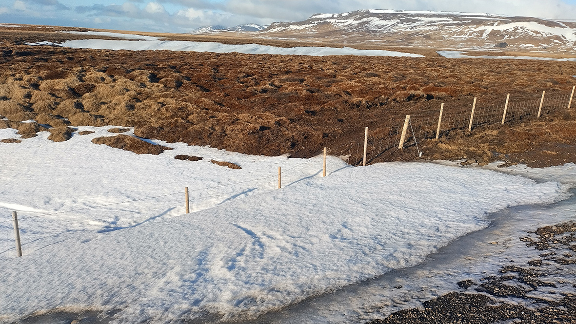 Girðingar meðfram vegum