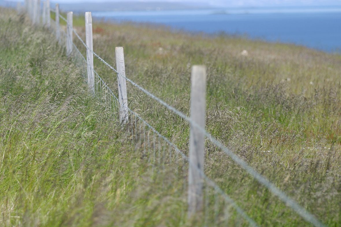 Auknar fjárveitingar til viðhalds varnarlína í Miðfjarðarhólfi