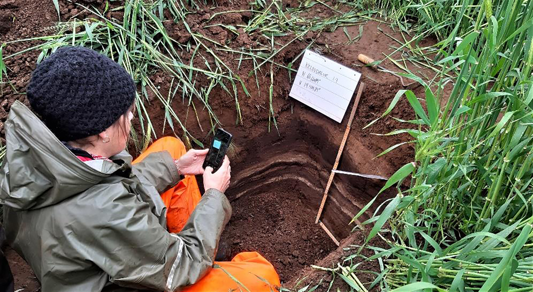 Langtímalosun kolefnis úr framræstu ræktarlandi er líklega margfalt minni en fullyrt hefur verið