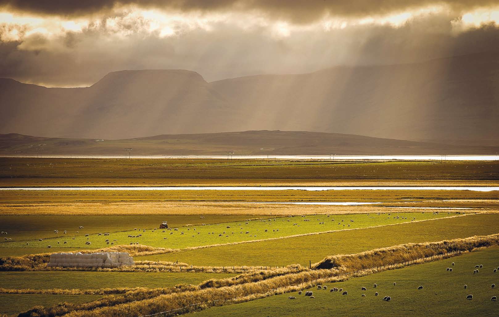 Áhrif boðaðra verkfallsaðgerða BHM og SGS á starfsemi bænda