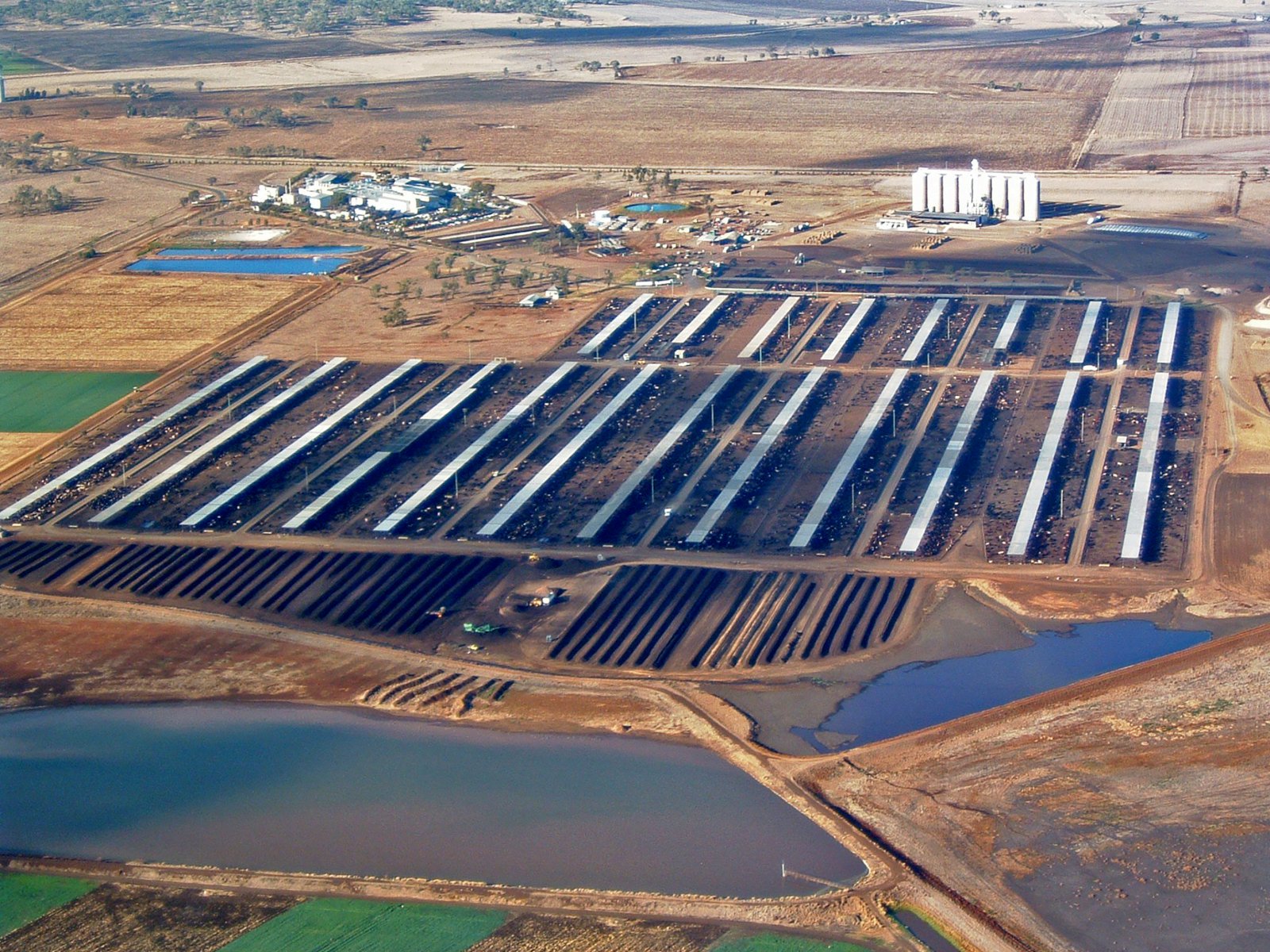 Landbúnaður á nútíma vísu