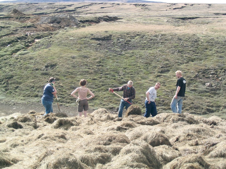 Bændur græða landið í 25 ár