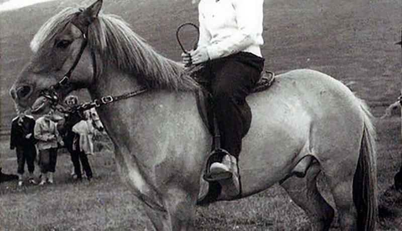 Kirkjuskógskynið og Gnýfari