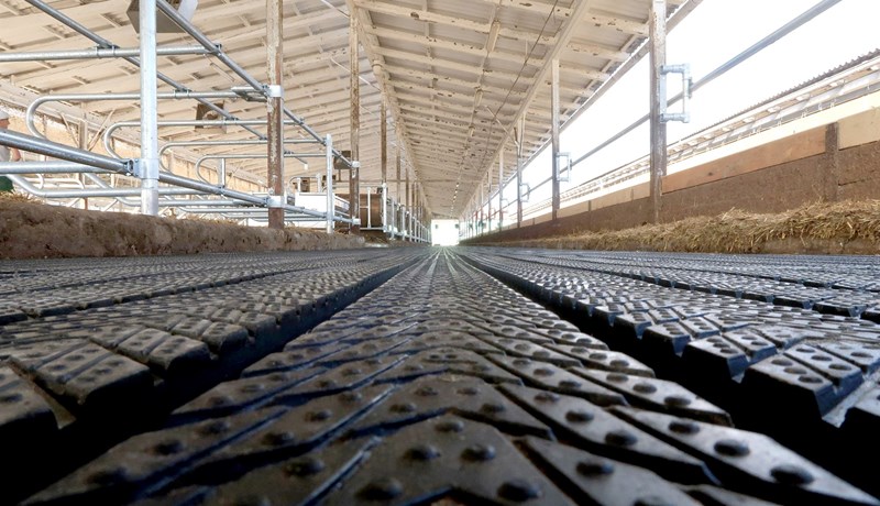 Hægt að bæta verulega ammoníaksnýtingu fjósa