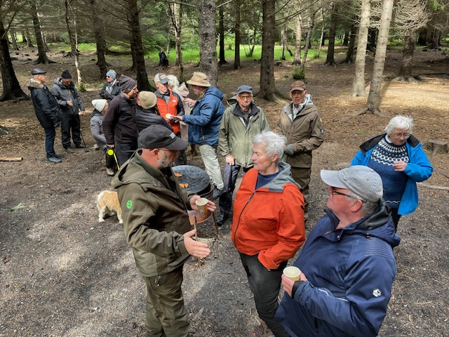 Jónsmessuganga í Haukadalsskógi