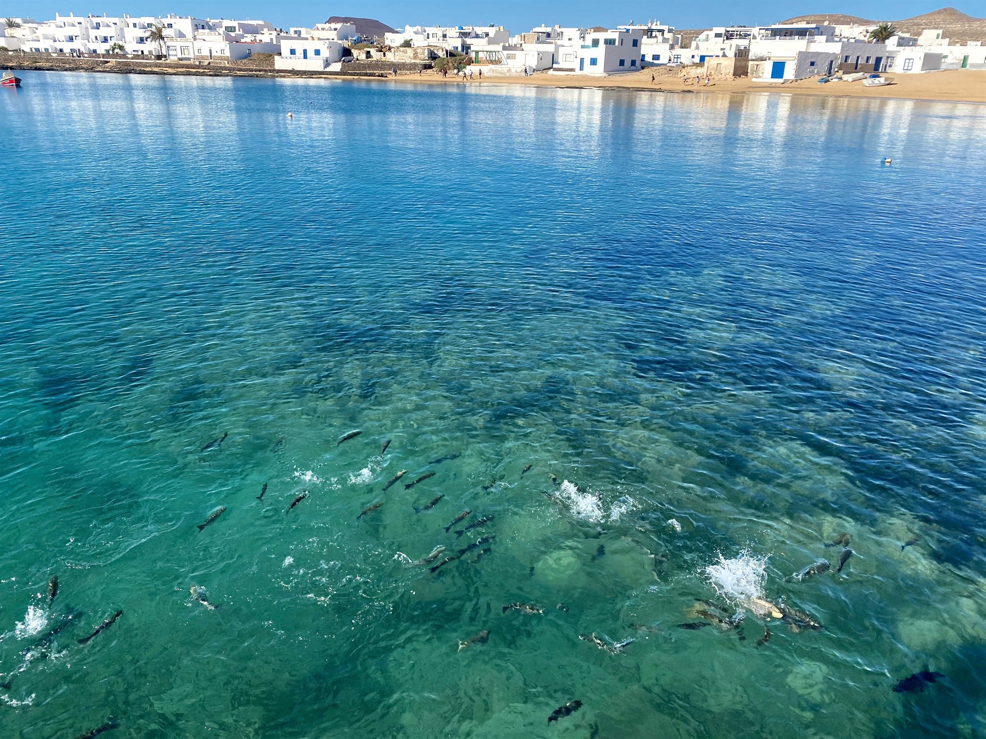 Náðugir dagar fjarri ferðamannaös
