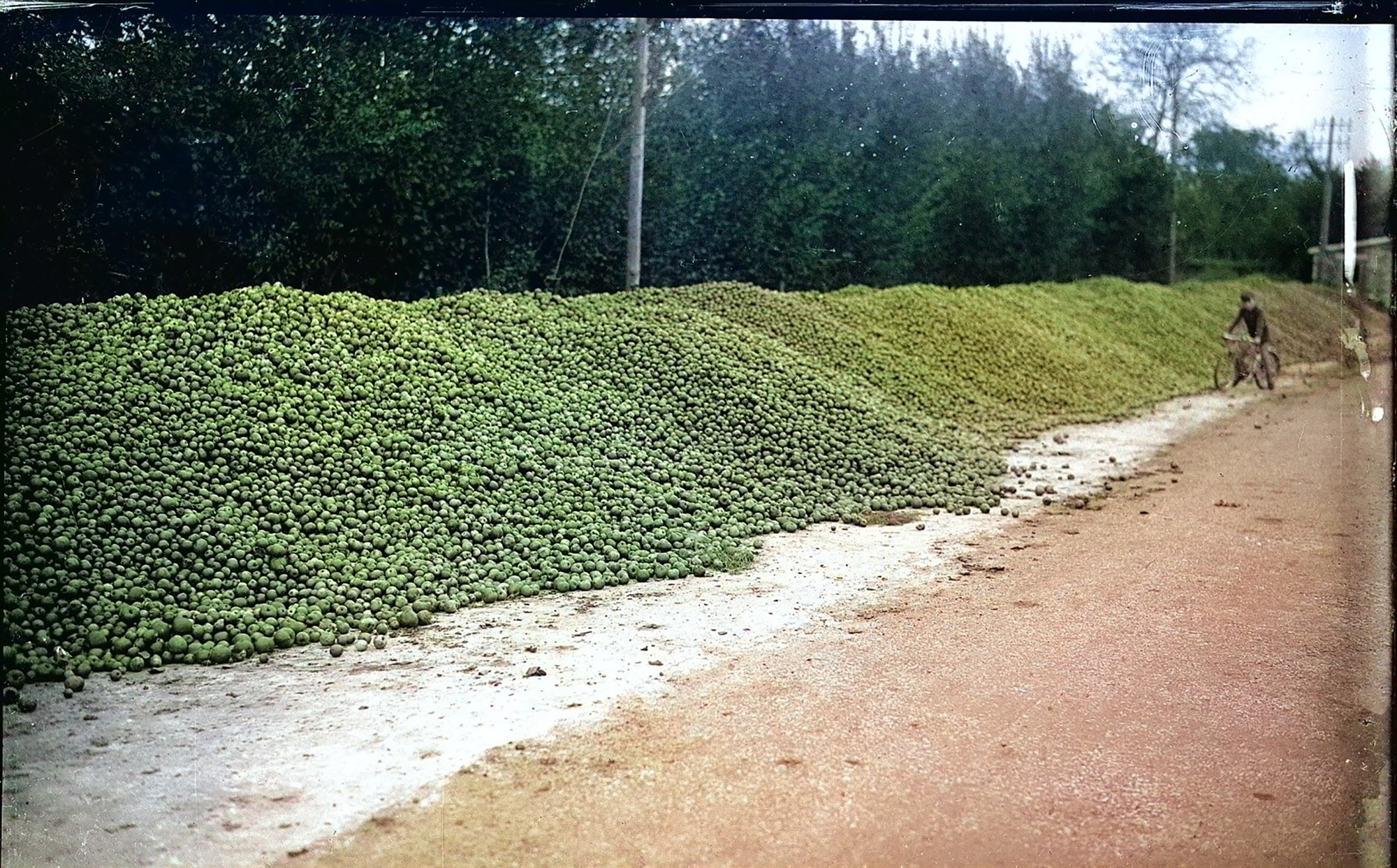 Epla- og perubrandí