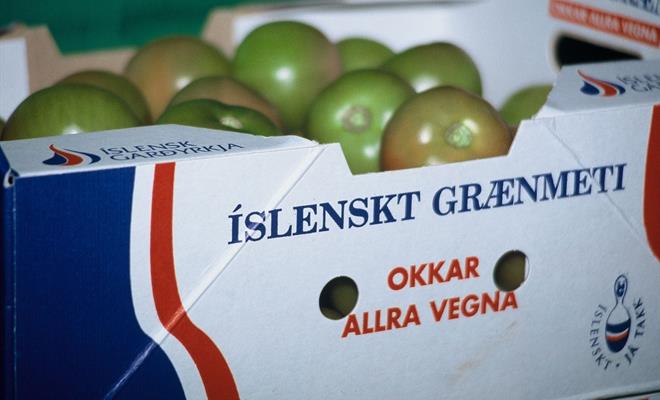 Samband garðyrkjubænda, ASÍ, fræðimenn og 9 fyrrum ráðherrar vara við orkupakka 3