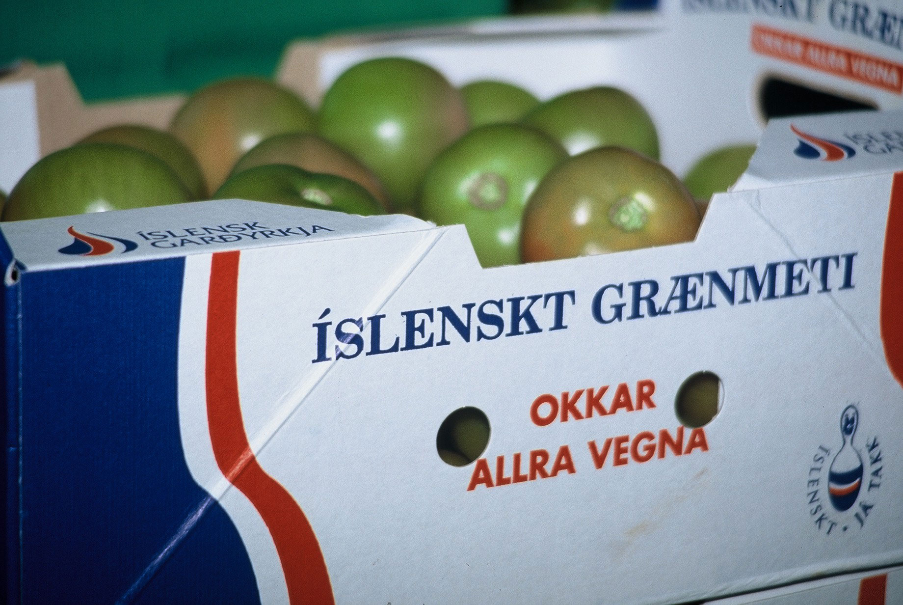 Yfirlýsing frá Sambandi garðyrkjubænda