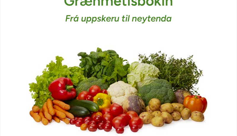 Viðfangsefnin spanna alla virðiskeðjuna