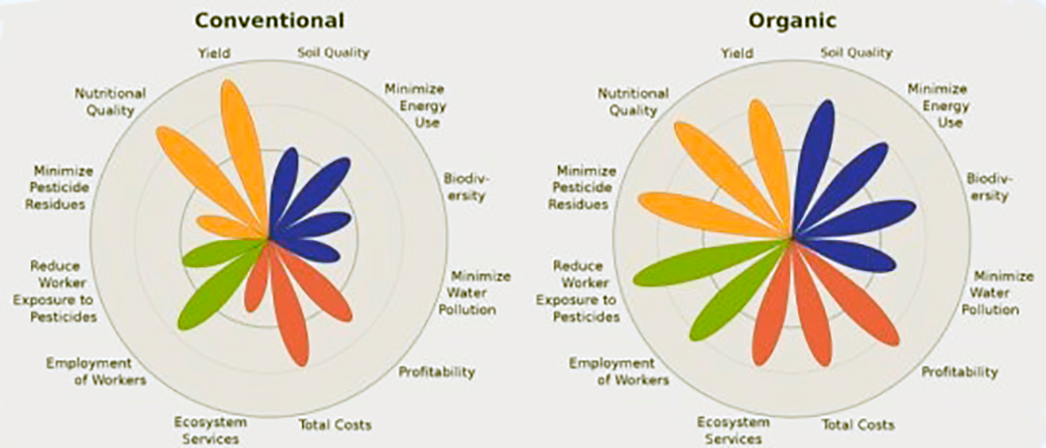 Hollusta matvæla ræðst af heilbrigði jarðvegsins sem þau spretta úr