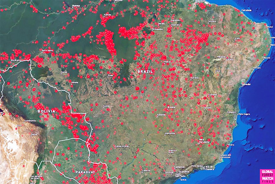 Kort sem sýnir skógarelda í Brasilíu, Bólivíu og Paragvæ samkvæmt gervihnattamynd 13. ágúst síðastliðinn. Mynd / Global Forest Watch