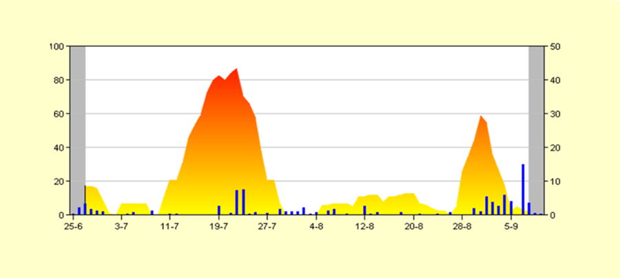 Smitálag kartöflumyglu í Eyjafirði sumarið 2025. 